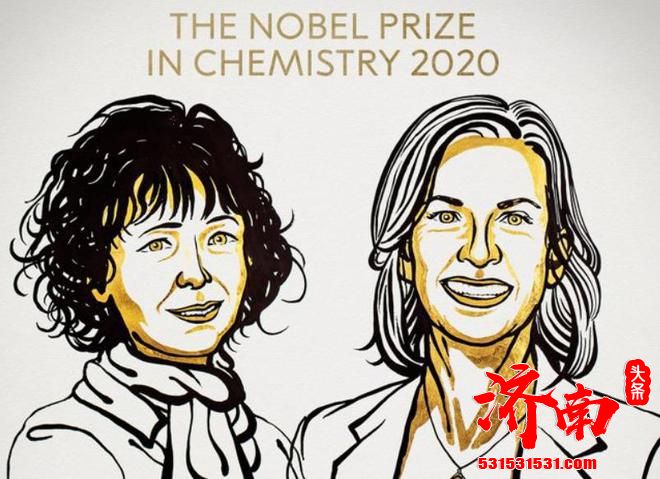 2020年诺贝尔化学奖公布:2名“基因编辑技术”获奖 2020年诺贝尔化学奖公布:2名“基因编辑技术”获奖