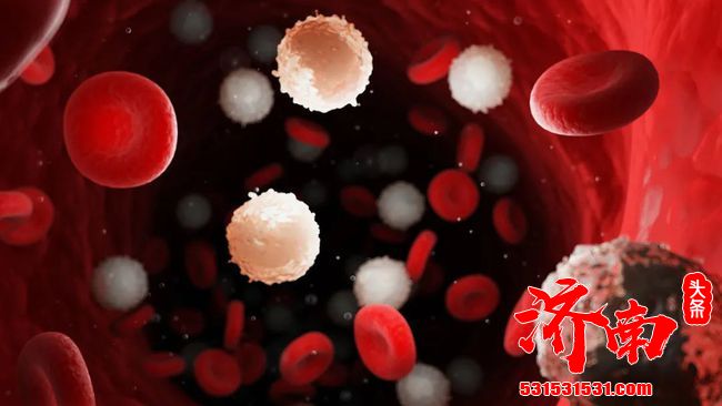 中国科学院开发了治疗白血病的疫苗,可实现精准治疗 中国科学院开发了治疗白血病的疫苗,可实现精准治疗