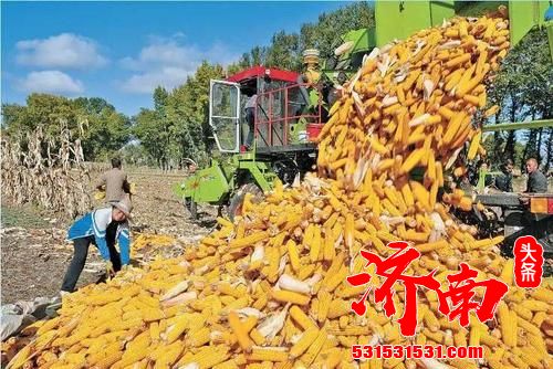 粮食生产连年丰收 产量稳定在1.3万亿斤以上 全面建成小康社会 粮食生产连年丰收 产量稳定在1.3万亿斤以上 全面建成小康社会
