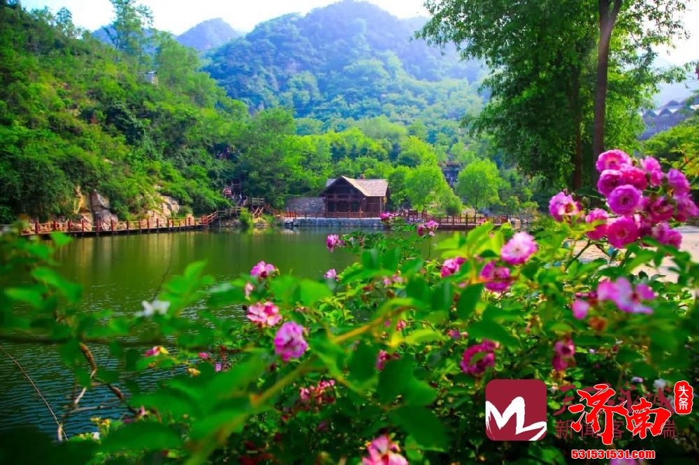 济南泉乡康养产业论坛开幕 以“悠然南山康养济南”主题 济南泉乡康养产业论坛开幕 以“悠然南山康养济南”主题