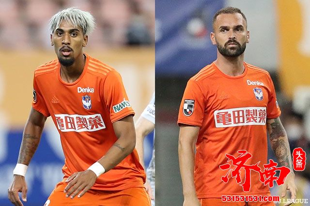 新潟天鹅解除两外援合同 因酒驾违反道路交通法 新潟天鹅解除两外援合同 因酒驾违反道路交通法