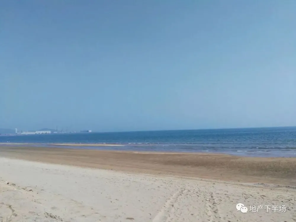 济南和青岛哪座城市适合年轻人定居发展? 济南和青岛哪座城市适合年轻人定居发展?