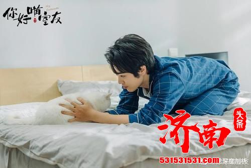 首部猫视角《你好喵室友》电视剧 趣味设定创新宠物题材剧集 首部猫视角《你好喵室友》电视剧 趣味设定创新宠物题材剧集