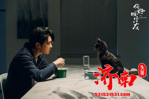 《你好喵室友》以真实书写爱与治愈 编剧用心讲好暖心故事 《你好喵室友》以真实书写爱与治愈 编剧用心讲好暖心故事