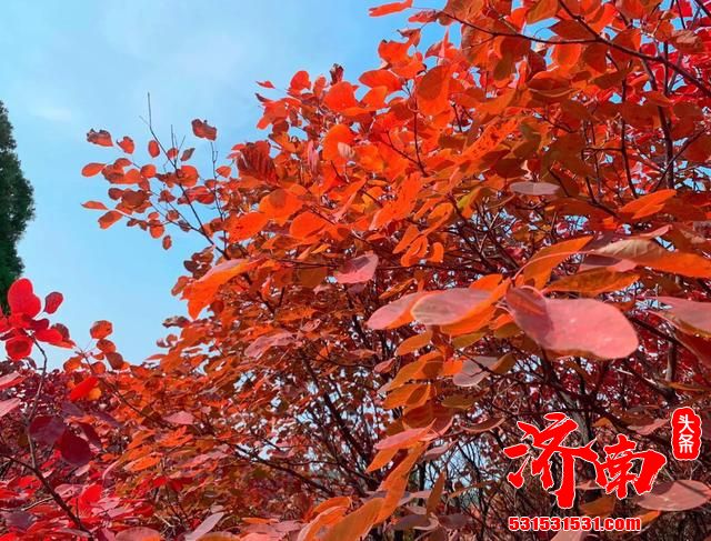 又一景点火了!济南“小九寨”,距市中心约30公里 门票92元 又一景点火了!济南“小九寨”,距市中心约30公里 门票92元