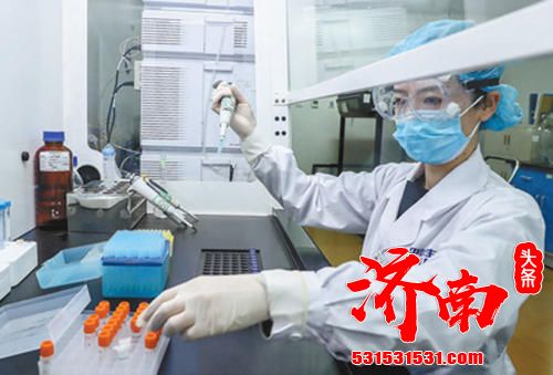 全球疫苗免疫联盟首席执行官称他十分高兴地欢迎中国加入疫苗计划,这将确保未来新冠疫苗在全球公平分配增添动力 全球疫苗免疫联盟首席执行官称他十分高兴地欢迎中国加入疫苗计划,这将确保未来新冠疫苗在全球公平分配增添动力