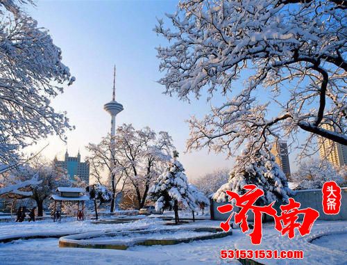 今冬首场“像样”的雪到了 今冬首场“像样”的雪到了