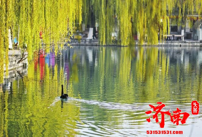 济南大雾黄色预警信号解除 寒潮来了!今明两天降温10℃左右 济南大雾黄色预警信号解除 寒潮来了!今明两天降温10℃左右