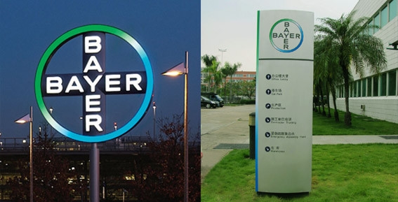 专访拜耳药业等三位“大佬”,济南企业致力打造老百姓“口碑品牌” 专访拜耳药业等三位“大佬”,济南企业致力打造老百姓“口碑品牌”