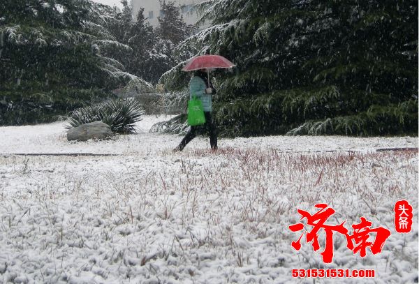 寒潮天气过程已基本结束 未来三天气温将小幅回升 寒潮天气过程已基本结束 未来三天气温将小幅回升