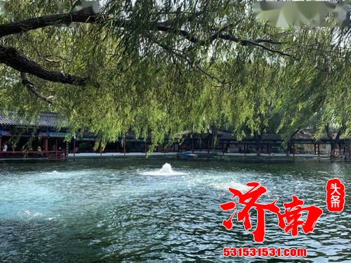 济南年内将在12个小区试点泉水直饮工程 有望成新建小区标配 济南年内将在12个小区试点泉水直饮工程 有望成新建小区标配