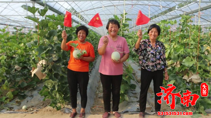 时值新春 山东济南市济阳区曲堤镇小刘村的蔬菜大棚里 一派生机盎然 时值新春 山东济南市济阳区曲堤镇小刘村的蔬菜大棚里 一派生机盎然