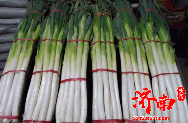 济南章丘种植大葱有一千多年的历史 远近闻名 因种葱带领群众增收致富 万新村当仁不让 济南章丘种植大葱有一千多年的历史 远近闻名 因种葱带领群众增收致富 万新村当仁不让