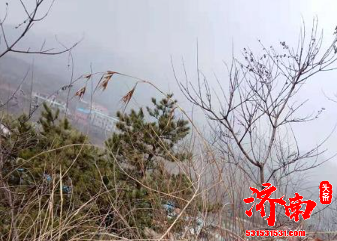 济南市迎来了小雨天气 济南护林员徒步沿着山路巡逻 对于他来说 这一干就是20年 济南市迎来了小雨天气 济南护林员徒步沿着山路巡逻 对于他来说 这一干就是20年