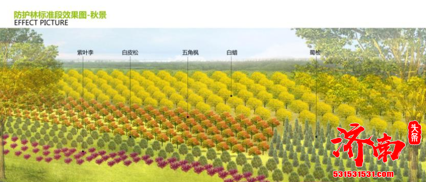 济南市园林和林业绿化局表示:将开展黄河淤背区造林工程 推进黄河干线沿岸防护林带更新提升 济南市园林和林业绿化局表示:将开展黄河淤背区造林工程 推进黄河干线沿岸防护林带更新提升