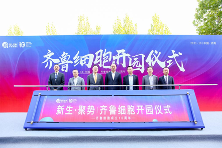 山东省齐鲁细胞治疗工程技术有限公司乔迁至银丰生物科技园