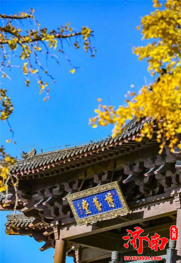 济南的秋天有多美？随手拍一张都是壁纸！