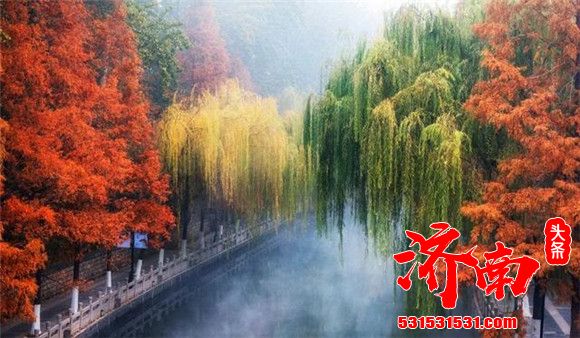 济南的秋天有多美？随手拍一张都是壁纸！