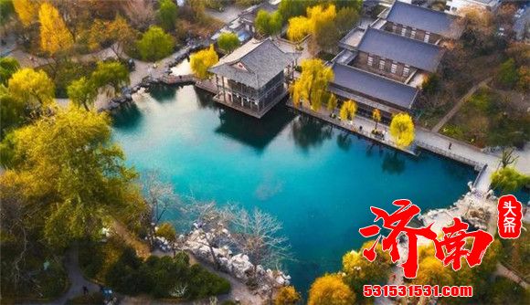 济南的秋天有多美？随手拍一张都是壁纸！