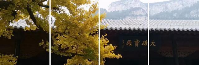 看过济南长清的秋天，其他的就都成了将就！