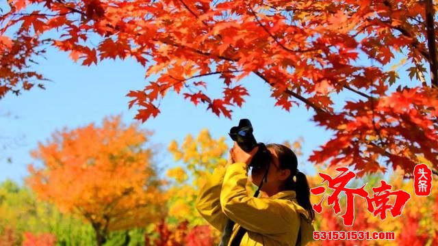 济南植物园里，快来接收这份秋天特殊的礼物