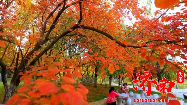 济南植物园里，快来接收这份秋天特殊的礼物