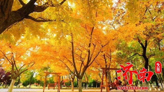 济南植物园里，快来接收这份秋天特殊的礼物