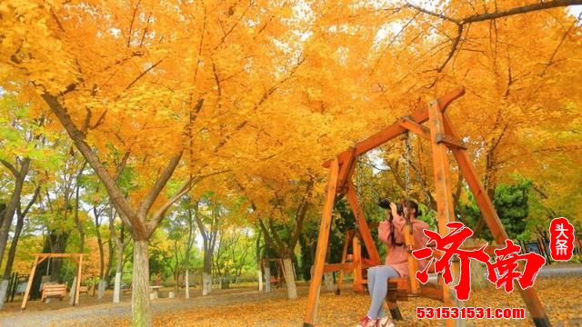 济南植物园里，快来接收这份秋天特殊的礼物