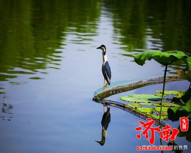 济南这一区来“大活”了！在建一座新高铁，规划引入郑济高铁