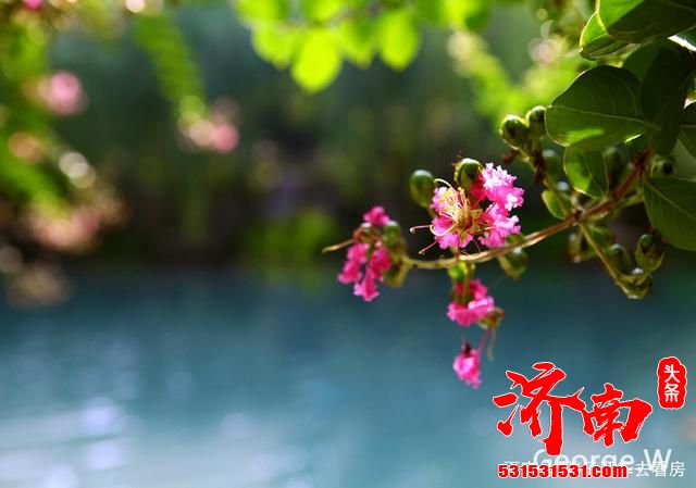 济南与我三十多年 三个变化两个阶段 未来一定大有可为