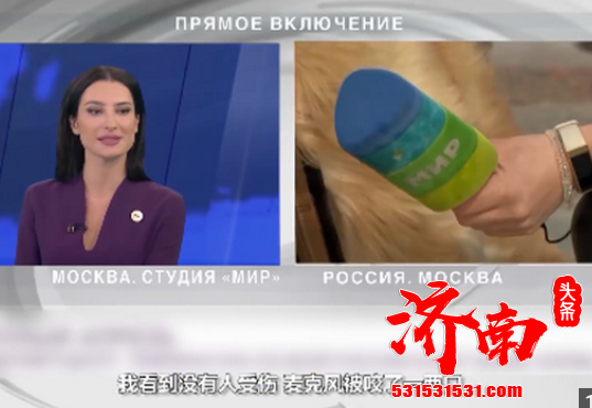 被逗笑了！记者直播时被狗狗抢走话筒 随后开始追狗大战