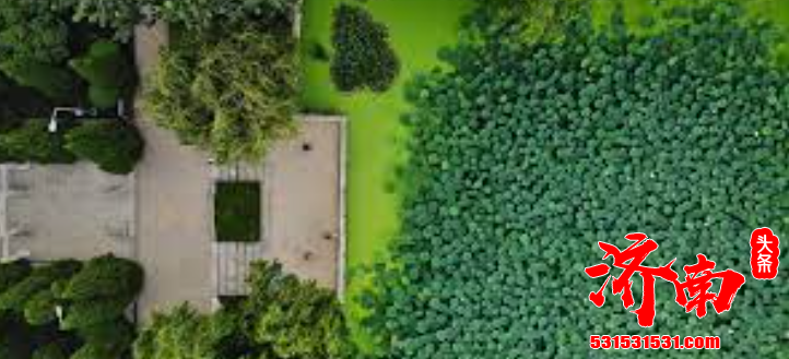 济南北园街道：召开党史学习教育动员大会