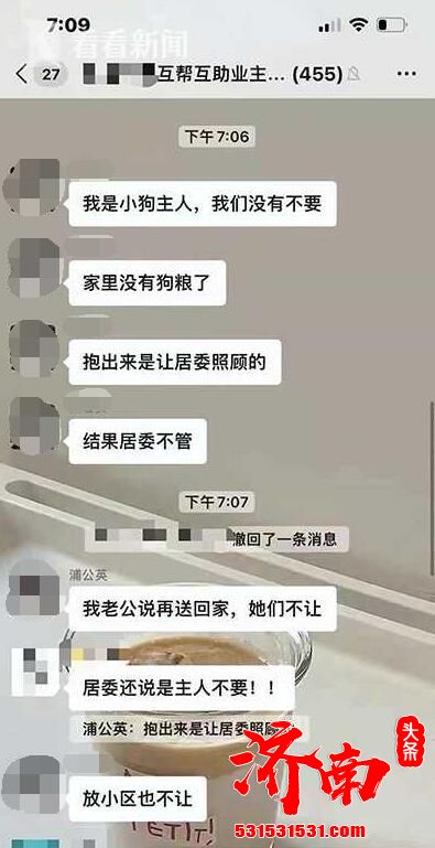 上海一柯基被打死 系主人被带走隔离怕狗狗传染