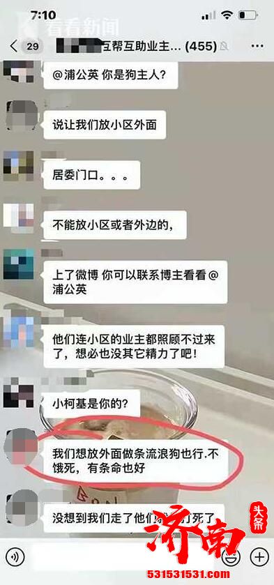 上海一柯基被打死 系主人被带走隔离怕狗狗传染