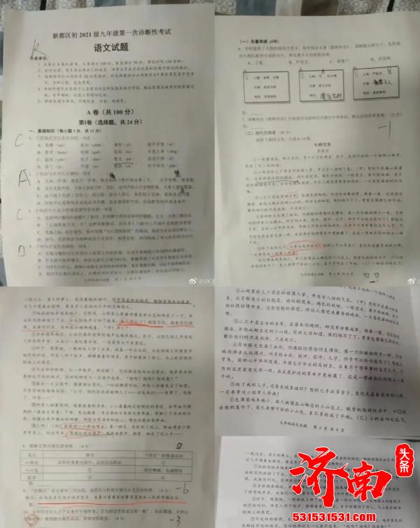 “杜鹃花落”被曝“美化侵华日军”相关人员已停职